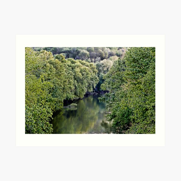 Cumberland River Art Print