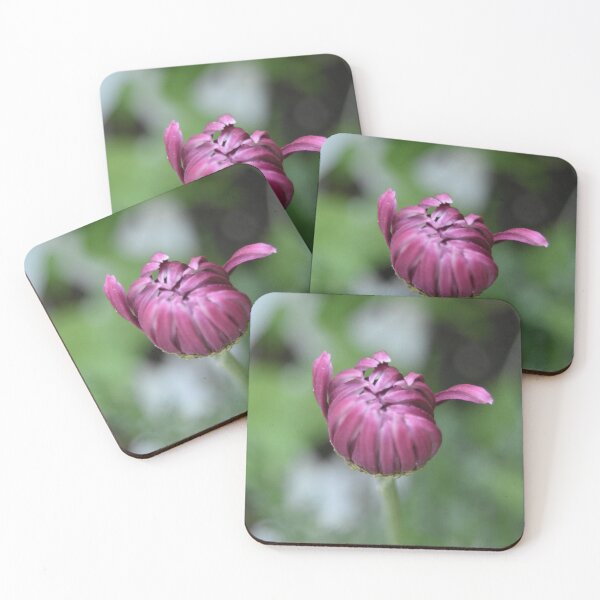 Item preview, Before The Bloom designed and sold by BrianneCampbell.