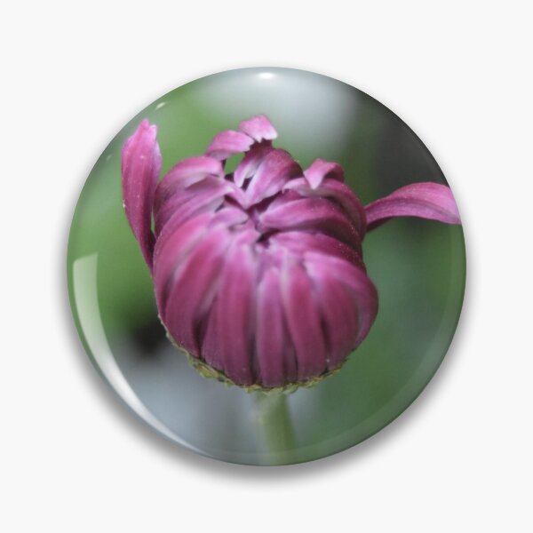 Item preview, Before The Bloom designed and sold by BrianneCampbell.