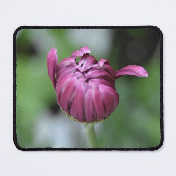 Item preview, Before The Bloom designed and sold by BrianneCampbell.
