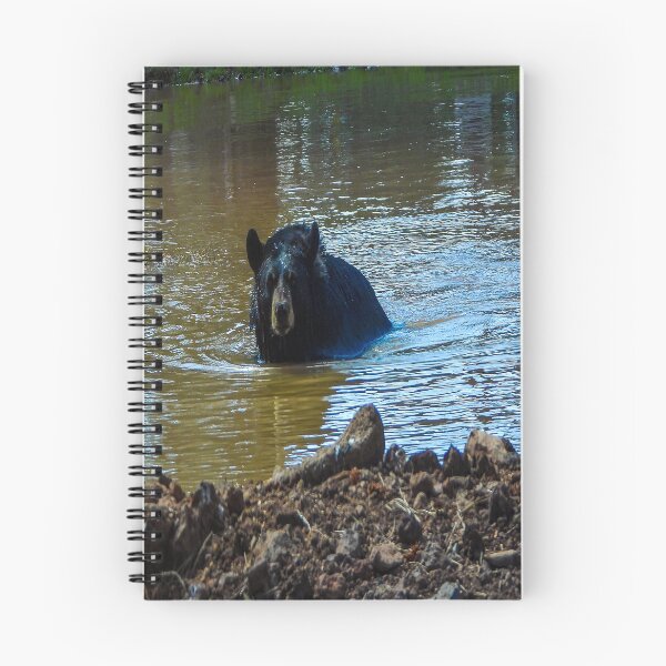 Item preview, Bear Bath designed and sold by Craig Kauzmann.