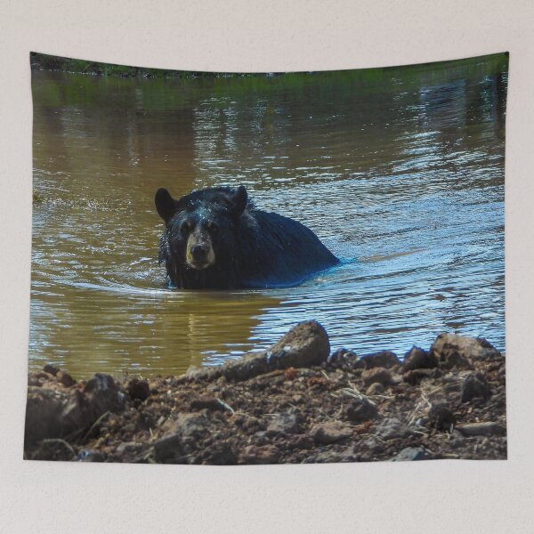 Item preview, Bear Bath designed and sold by Craig Kauzmann.