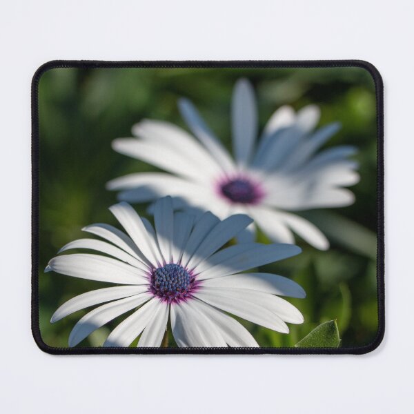Item preview, Cape Marguerite designed and sold by Marc Forman.