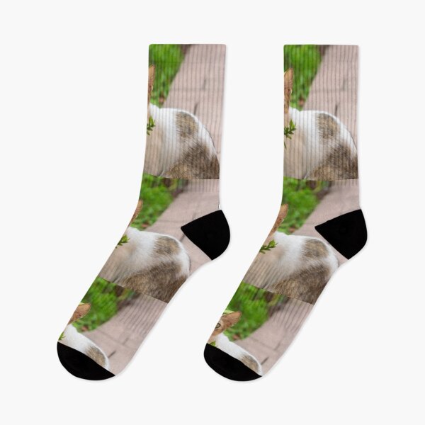 Item preview, the cat in the garden designed and sold by ricobarinas.