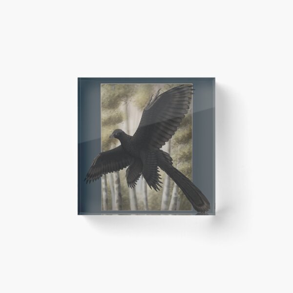 Item preview, Microraptor in flight designed and sold by DragonArtist15.