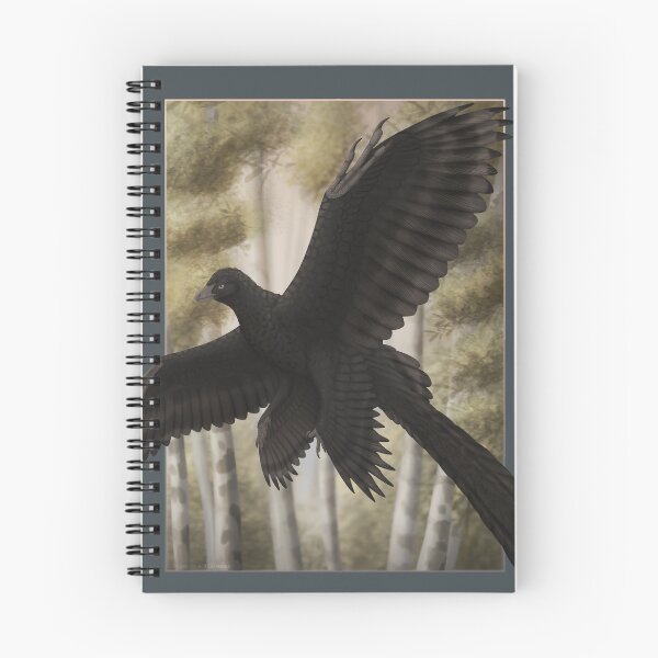 Item preview, Microraptor in flight designed and sold by DragonArtist15.