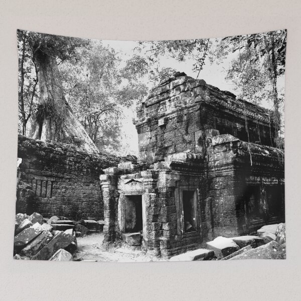 Item preview, Cambodia - Angkor, Ta Prohm designed and sold by franck380.