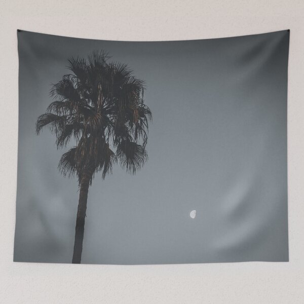Aperçu de l'œuvre California Palm Tree at Night under the Moon V3 créée et vendue par Family Journey with God.