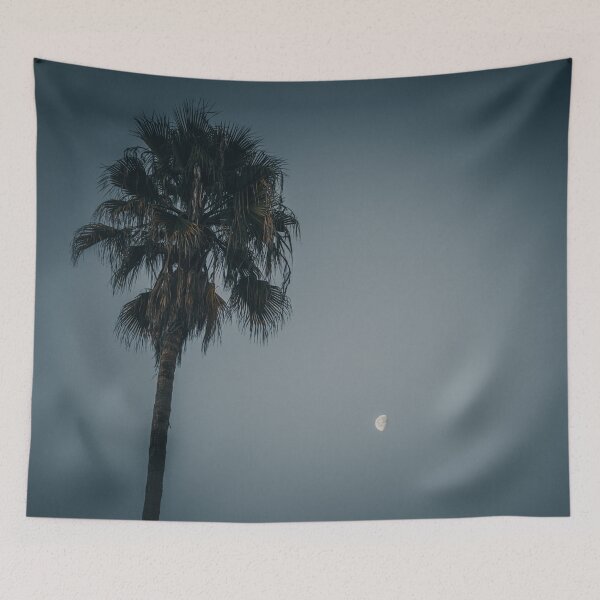 Aperçu de l'œuvre California Palm Tree at Night under the Moon V5 créée et vendue par Family Journey with God.