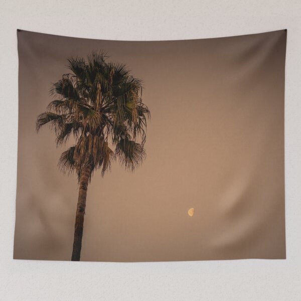 Aperçu de l'œuvre California Palm Tree at Night under the Moon V6 créée et vendue par Family Journey with God.