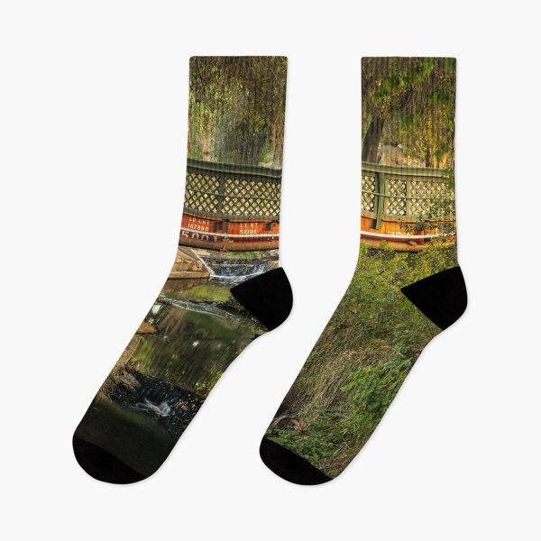 Item preview, Stream Flowing Under Train Wagon Bridge V1 designed and sold by Family Journey with God.