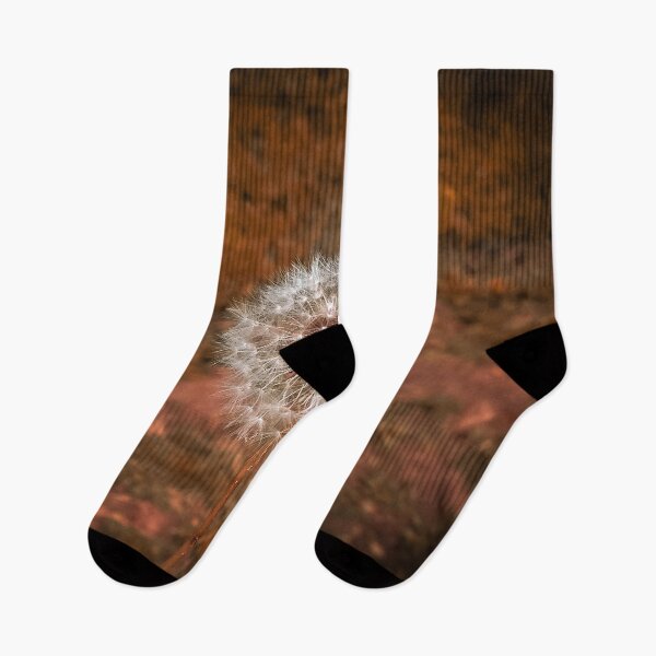 Item preview, Dandelion designed and sold by Craig Kauzmann.