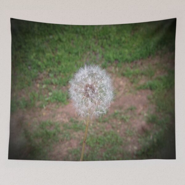 Item preview, Dandelion designed and sold by Craig Kauzmann.