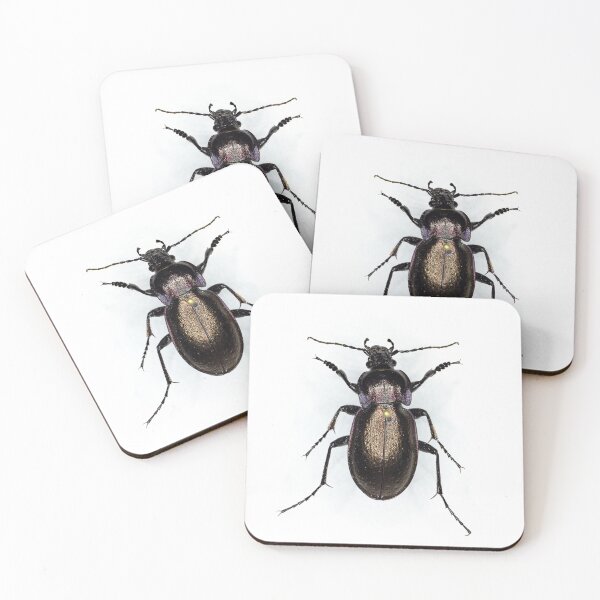 Item preview, Ground Beetle (Carabus nemoralis) designed and sold by minorshrimp.