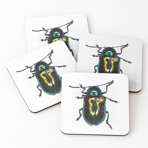 Item preview, Beetle (Chrysochus auratus) designed and sold by minorshrimp.