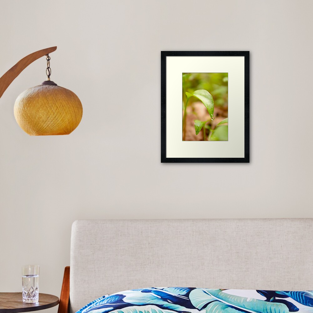 Item preview, Framed Art Print designed and sold by DaogreerEarth.