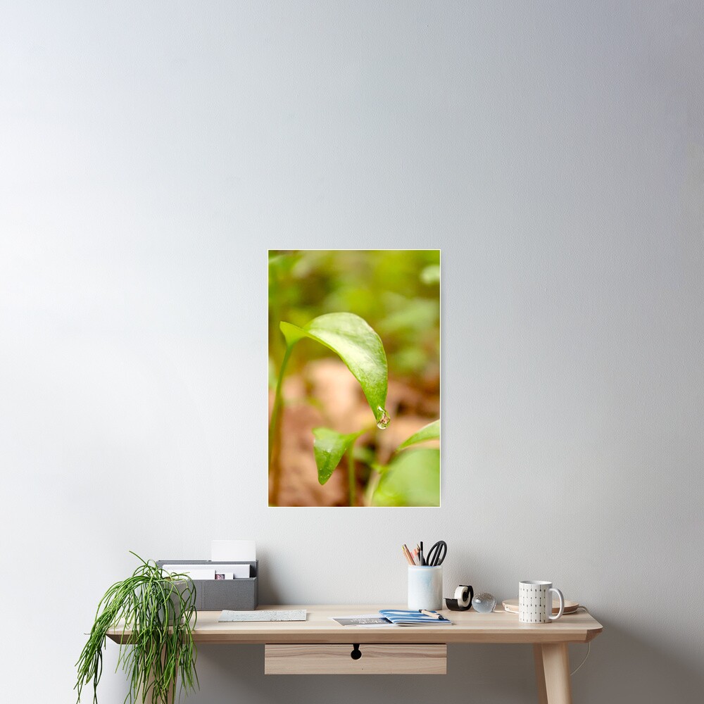Item preview, Poster designed and sold by DaogreerEarth.
