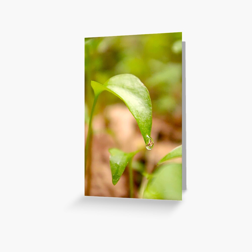 Item preview, Greeting Card designed and sold by DaogreerEarth.