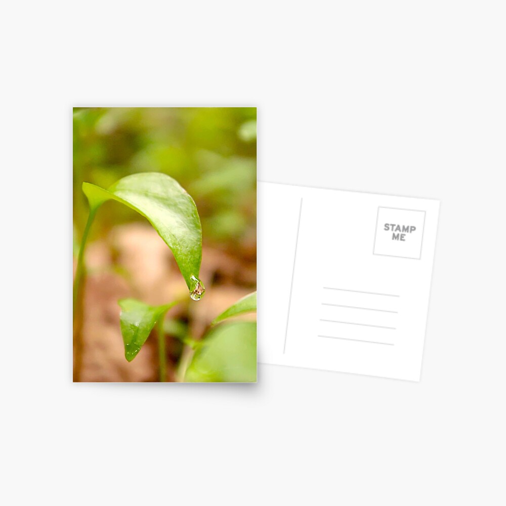 Item preview, Postcard designed and sold by DaogreerEarth.