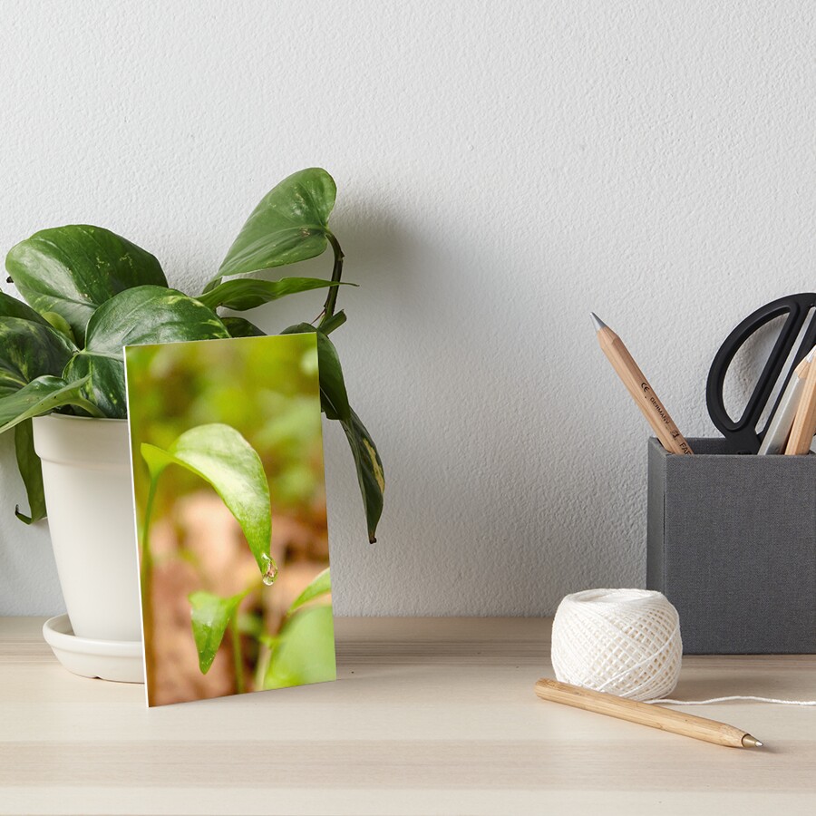 Item preview, Art Board Print designed and sold by DaogreerEarth.