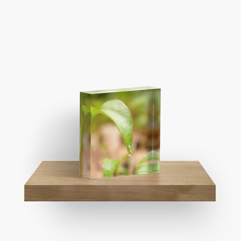 Item preview, Acrylic Block designed and sold by DaogreerEarth.