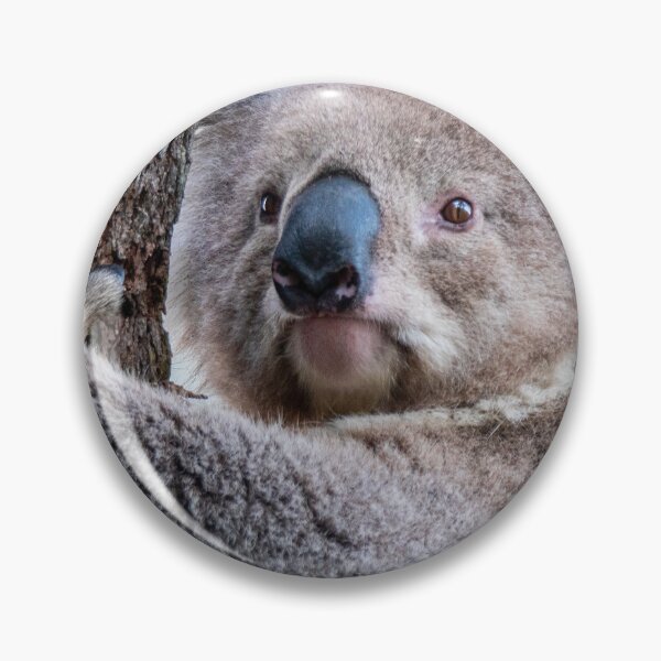Item preview, Koala designed and sold by scar.