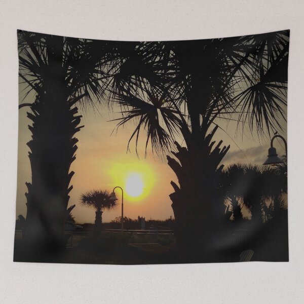 Aperçu de l'œuvre Palm Tree Sunrise créée et vendue par Craig Kauzmann.