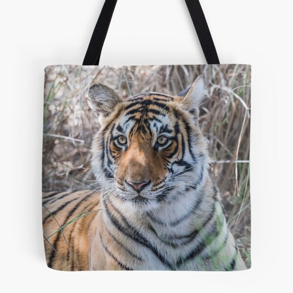Item preview, Contemplating My Next Move designed and sold by Puttaswamy Ravishankar.