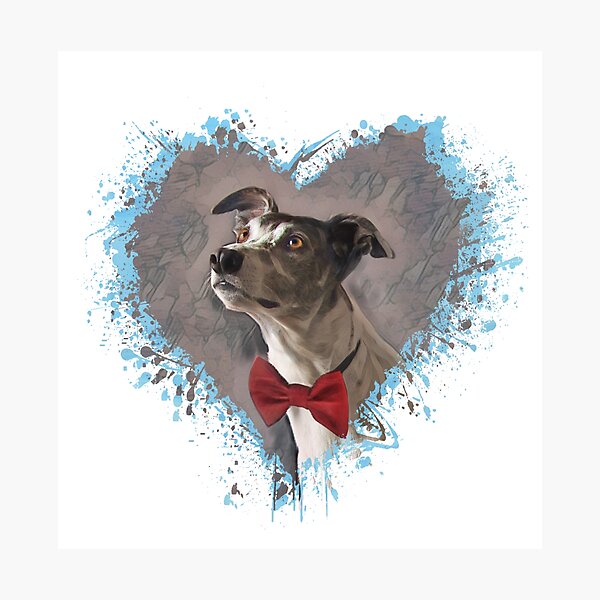 Item preview, Greyt Greyhound In A Red Bow Tie  designed and sold by Heathermarie321.