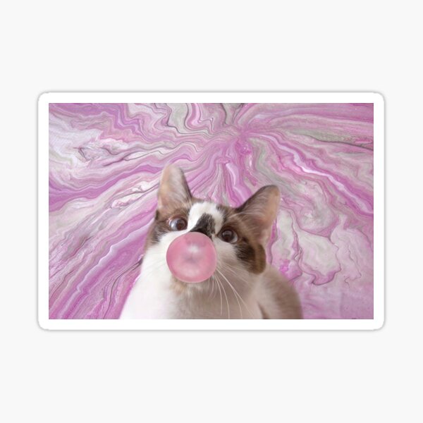 "Snowshoe Cat with Bubble Gum" Sticker for Sale by fineart2017 Redbubble
