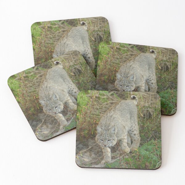 Item preview, Bobcat on the Prowl designed and sold by PatGoltz.