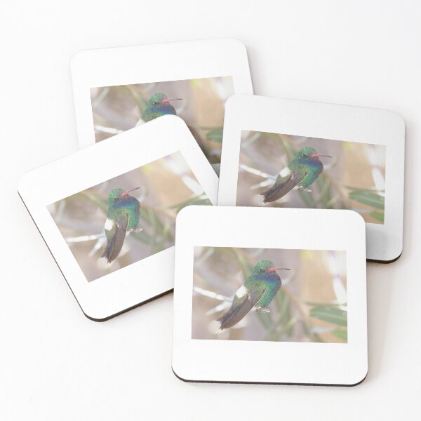 Item preview, Broad-billed Hummingbird designed and sold by PatGoltz.