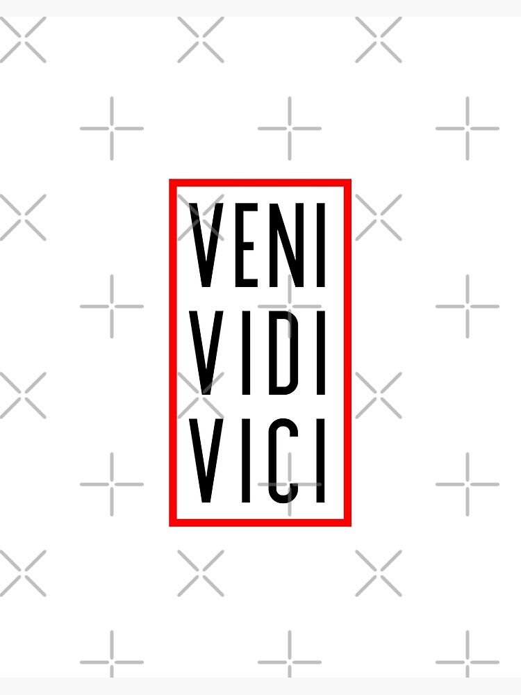 Veni vidi vici latin quote poster Royalty Free Vector Image