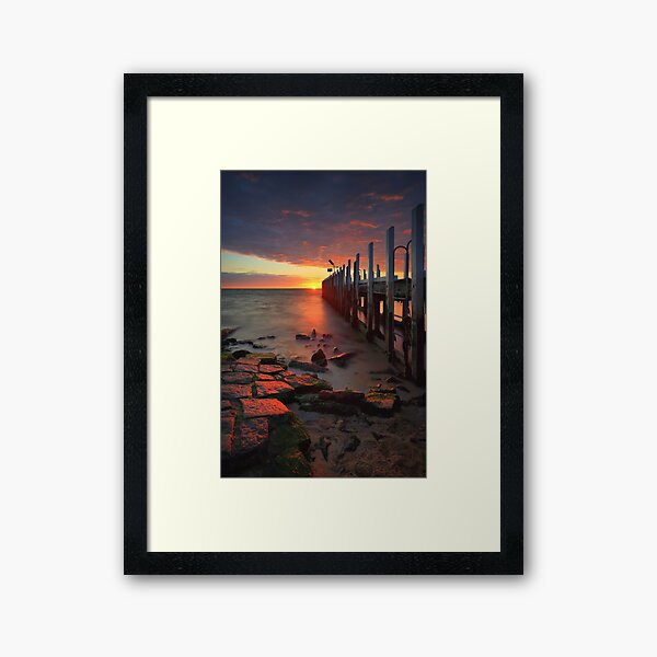 Framed Print