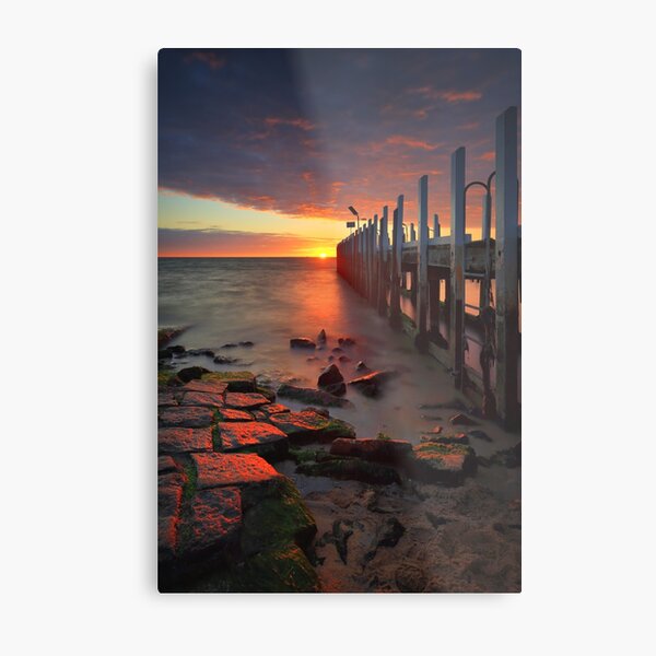 Metal Print