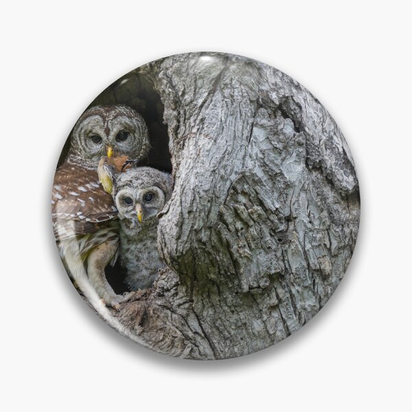 Item preview, Owls designed and sold by Puttaswamy Ravishankar.