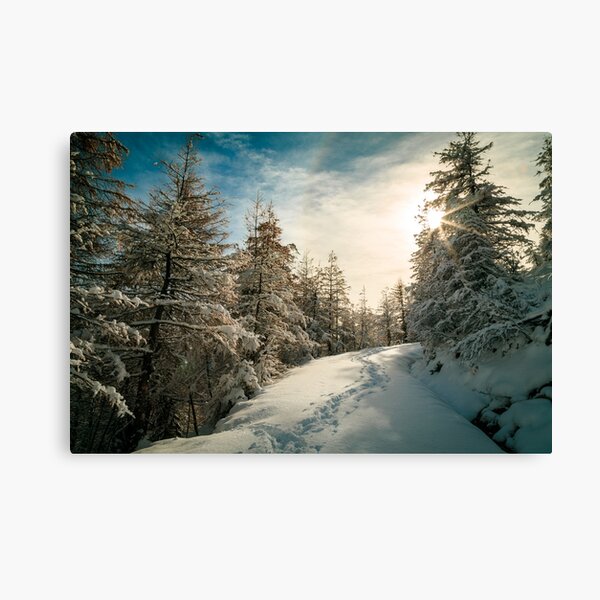 Sunny day in the alps after the snowfall Canvas Print