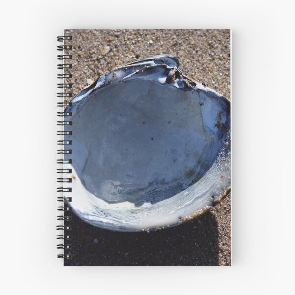 Item preview, shell designed and sold by KathleenDawson.