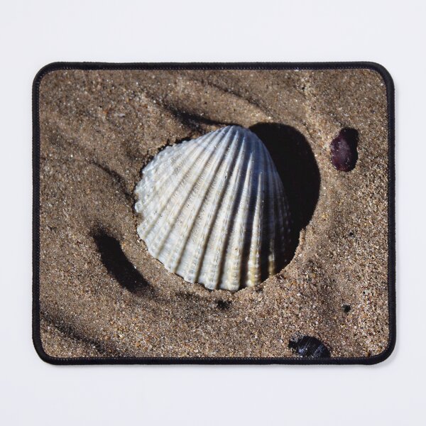Item preview, shell designed and sold by KathleenDawson.