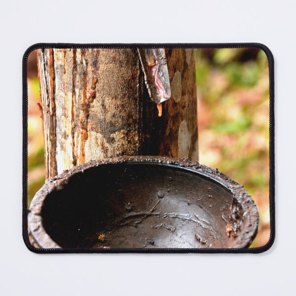 Item preview, Cambodia - Banlung , Rubber Plantation designed and sold by franck380.