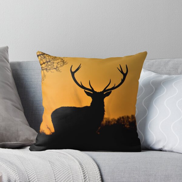 Item preview, Sunrise in the Richmond park, London ! designed and sold by erkaphoto.