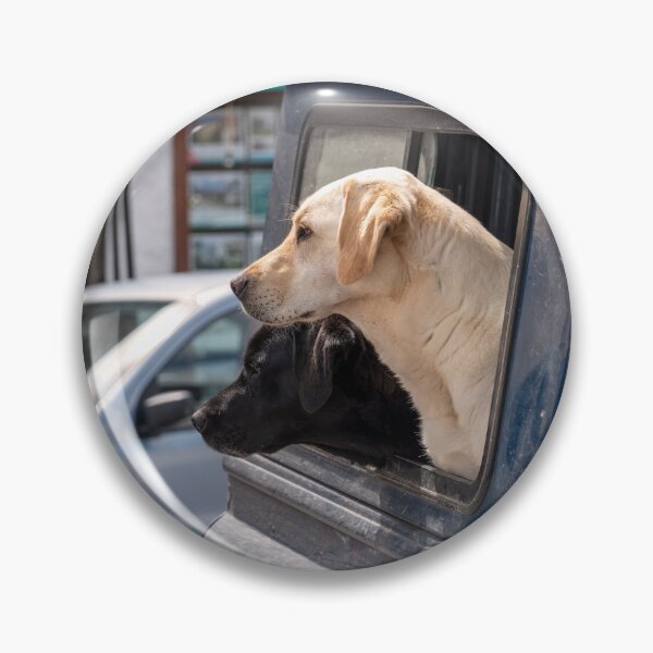 Item preview, Doggys in the window  designed and sold by hawkie.