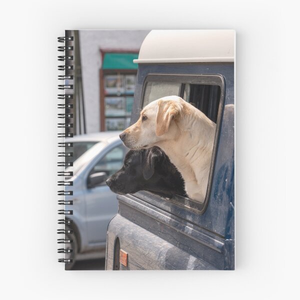 Item preview, Doggys in the window  designed and sold by hawkie.