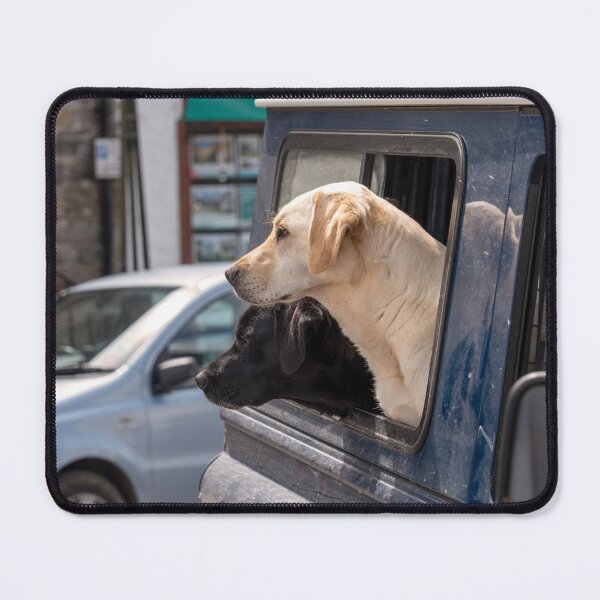 Item preview, Doggys in the window designed and sold by hawkie.