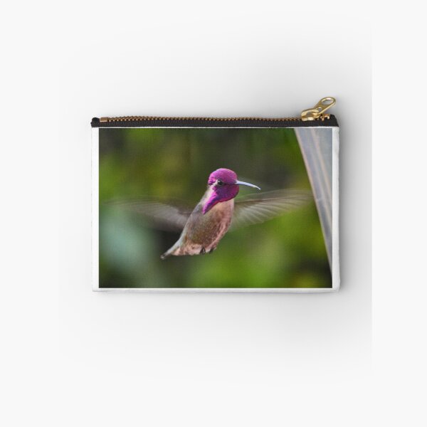Item preview, HUMMINGBIRD COSTA IN FLIGHT designed and sold by JAYMILO.