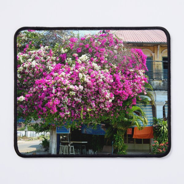 Item preview, Cambodia - Kampot designed and sold by franck380.