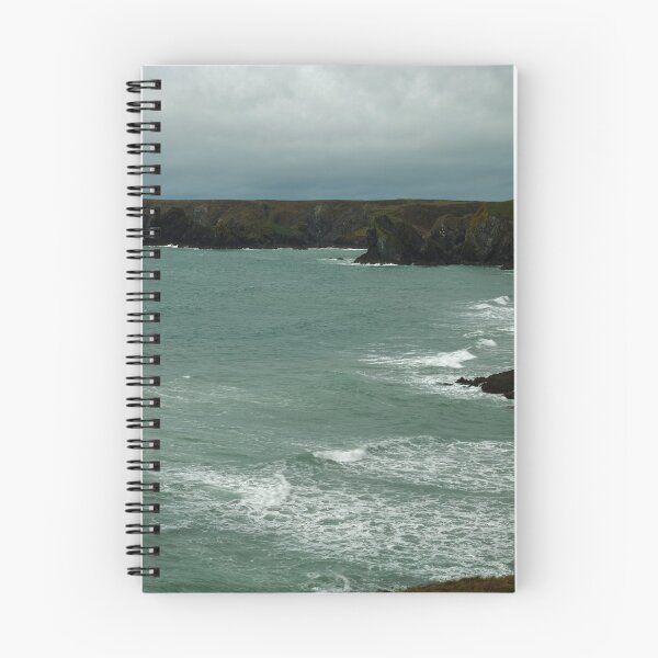 Item preview, COAST OF LIZARD designed and sold by andrewsaxton.