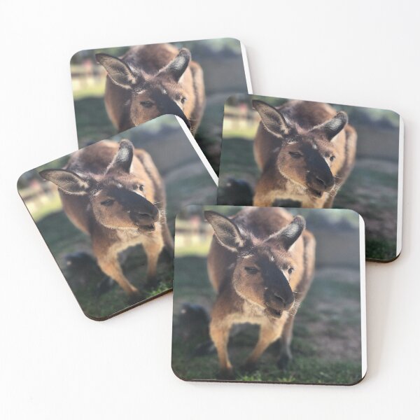 Item preview, Cute Kangaroo Selfie at Ballarat Wildlife Park designed and sold by Michael Voyler.