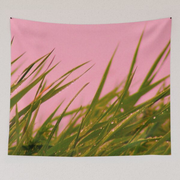 Aperçu de l'œuvre Grass and pink sky créée et vendue par Heteyy.