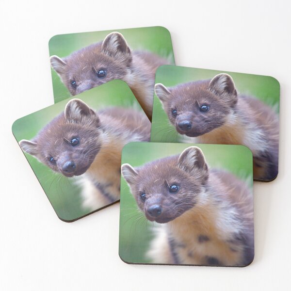 Item preview, Pine Marten Portrait designed and sold by Krys Bailey.